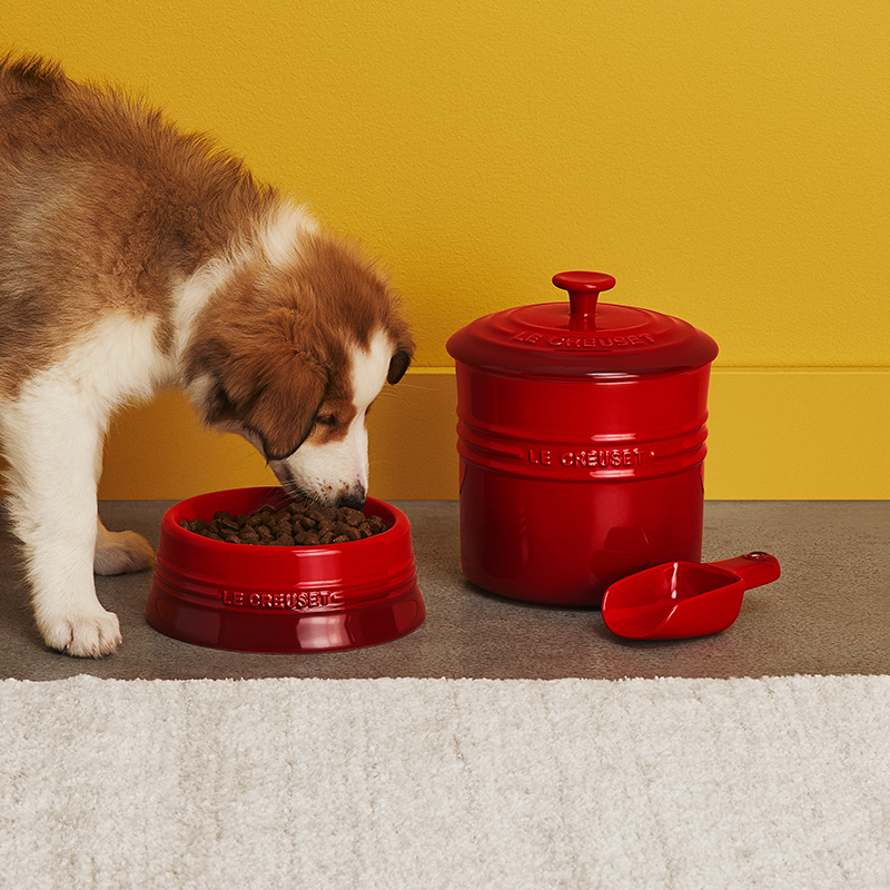 Pet Food Container with Scoop Pet Food Container with Scoop